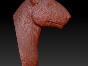 head bull terrier 3D 打印模型