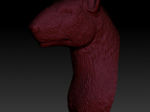 head bull terrier 3D 打印模型