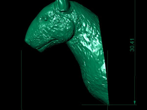 head bull terrier 3D 打印模型