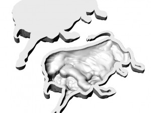 bull relief 3D Print Model