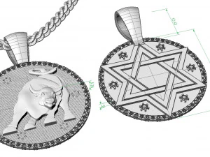 double sided pendant star of david and bull 3D Print Model