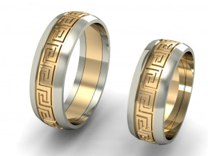 wedding rings male and famale Modèles 3D en vedette