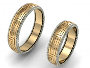 wedding rings male and famale Modèles 3D en vedette