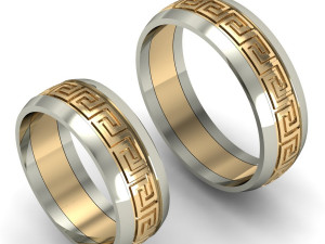 wedding rings male and famale Modèles 3D en vedette