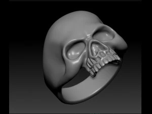 mens ring scull 3D Print Model