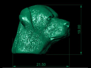 rottweiler head 3D Print Model