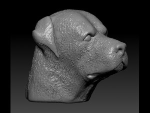 rottweiler head 3D 打印模型