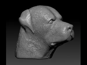 rottweiler head 3D Print Model