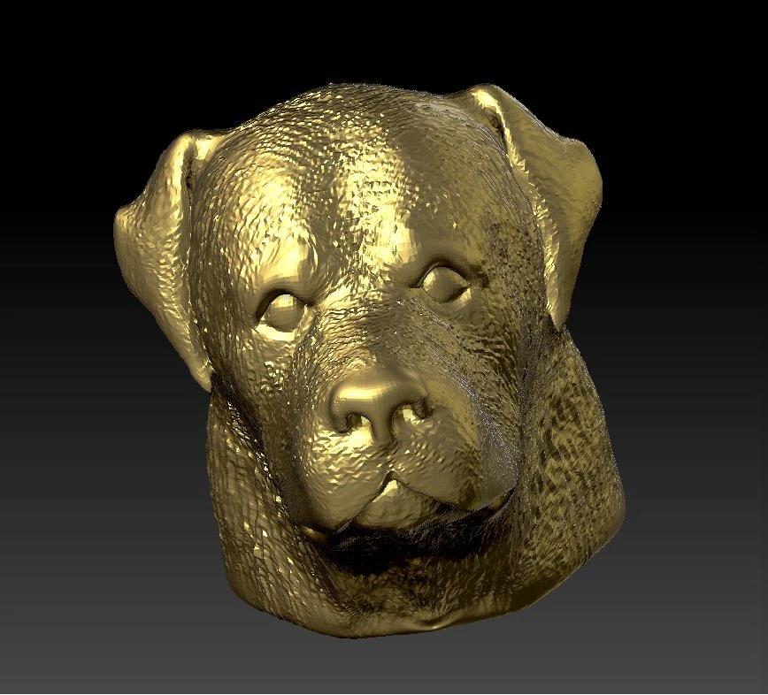 rottweiler head 3D Print Model .c4d .max .obj .3ds .fbx .stl .blend 
