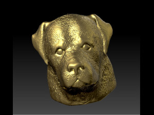 rottweiler head 3Dプリントモデル
