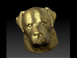 голова ротвейлера 3D Принт Модель