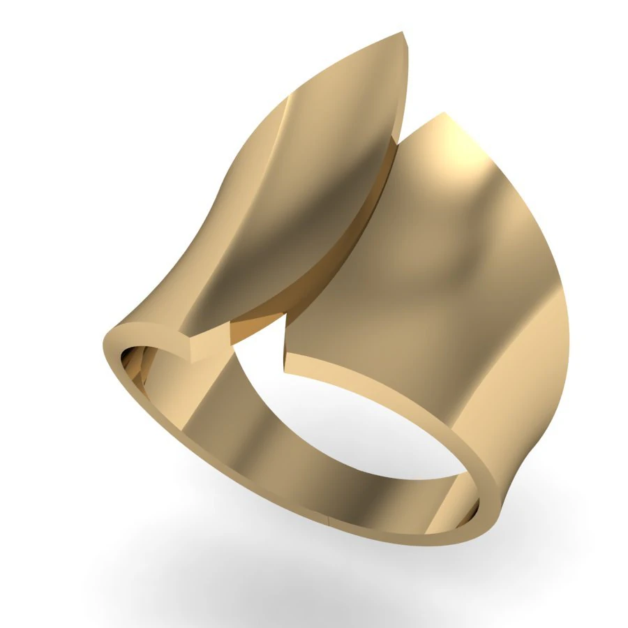 ring abstract form 3D Print Model .c4d .max .obj .3ds .fbx .stl .blend 