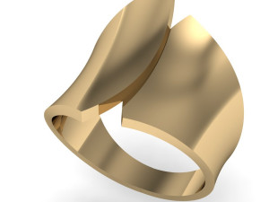 ring abstract form Modèles 3D en vedette