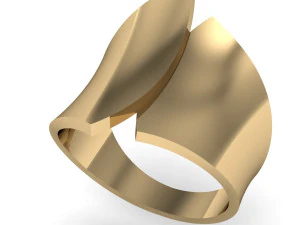 ring abstract form 3D Принт Модель