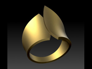 ring abstract form 3D 打印模型