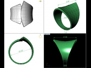 ring abstract form 3D 打印模型
