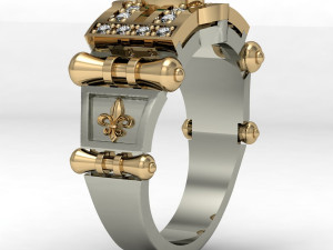 mens ring with gems 3D 打印模型