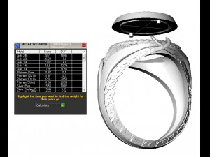 man ring aviator 3D Print Model