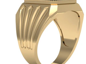 men ring with gem 3D Print Model