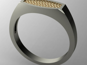 male ring with with two inserts 3D Принт Модель