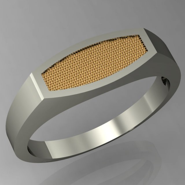 male ring with with two inserts 3D Принт Модель .c4d .max .obj .3ds .fbx .stl .blend 