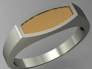 दो आवेषण के साथ पुरुष अंगूठी 3D प्रिंट मॉडल