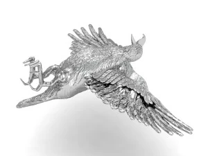 beautiful crow 3D Print Model
