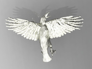beautiful crow 3D 打印模型