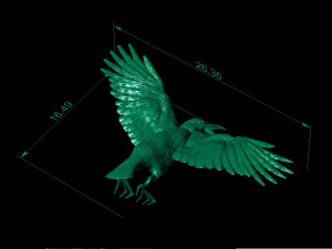 beautiful crow 3D 打印模型