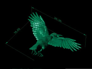 beautiful crow 3D Print Model