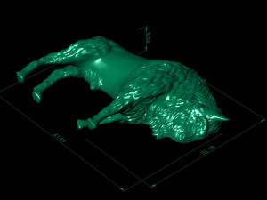 bison 3D 프린트 모델
