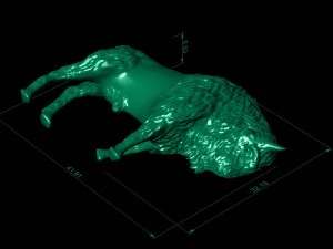 bison 3D Print Model