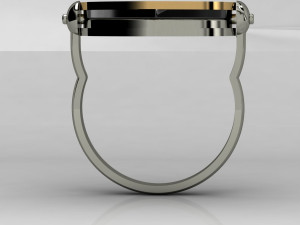 fashion ring 3D 프린트 모델