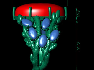 fashion ring 3Dプリントモデル