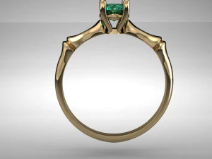 fashion rings 3D Print Model