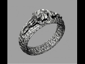 fashion ring grid 3D Print Model