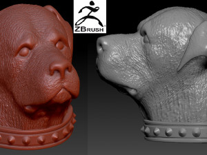 rottweiler head with collar 3Dプリントモデル