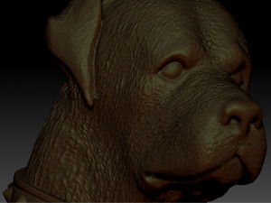 rottweiler head with collar 3Dプリントモデル