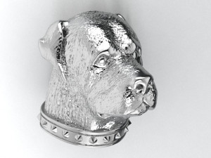 rottweiler head with collar 3Dプリントモデル