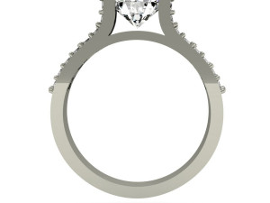 engagement ring 3D 打印模型