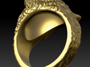 ring the head of a cat 3D Print Model