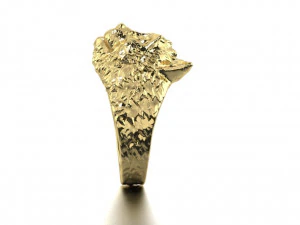 ring the head of a cat 3D Print Model