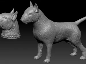 full body bull terrier and head with a collar 3D Print Model