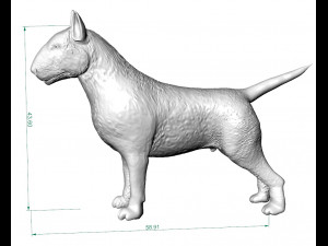 full body bull terrier and head with a collar 3D Принт Модель