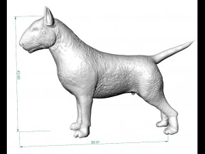full body bull terrier and head with a collar 3D Print Model