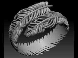 ring feather 3Dプリントモデル