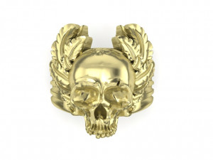 mens ring skull with feathers 3D Baskı Modeli