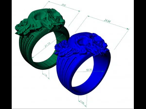 mens ring skull with feathers 3D Print Model