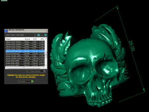 mens ring skull with feathers 3D Print Model