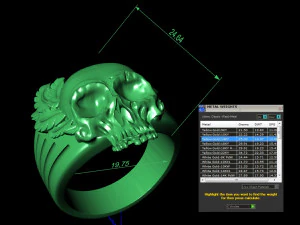 mens ring skull with feathers 3D Print Model